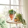 imageDOWAN 51 Inch Self Watering Plant Pots Home Decor Planters for Indoor Plants African Violet Pots SoilampampWater Separation Design Terracotta Planters Red Dot Design Awards
